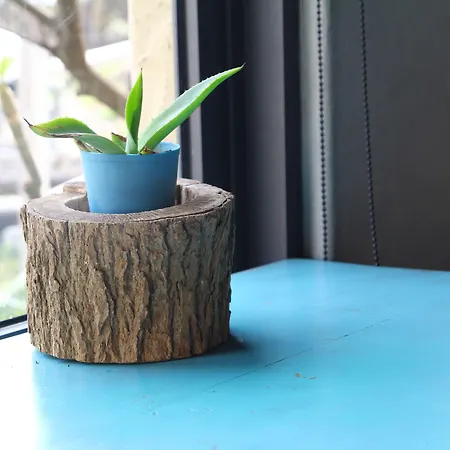 Homestay szállás West Old House *