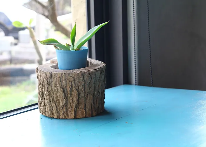 홈스테이 West Old House *