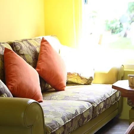 Homestay West Old House