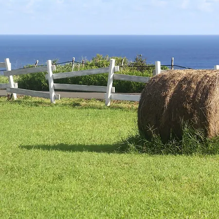 Homestay West Old House Kenting